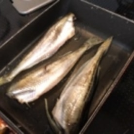 絶品簡単おつまみ ハタハタ一夜干しフライパン焼き レシピ 作り方 By えだ豆カシューナッツ 楽天レシピ 絶品簡単おつまみ ハタハタ一夜干しフライパン焼き レシピ 作り方 By えだ豆カシューナッツ 楽天レシピ